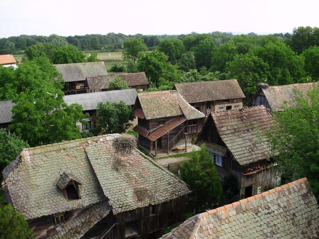 Отель Tradicije Cigoc Экстерьер фото